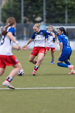 Bild 198 - wBJ Hamburger SV - FC Suederelbe : Ergebnis: 9:0